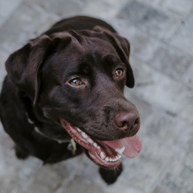 Meera Kapoor, Client Relations Director, discussing corporate gifting strategy with business clients